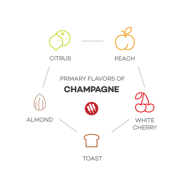 Champagne-taste-notes
